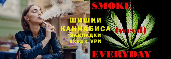 спайс Пересвет