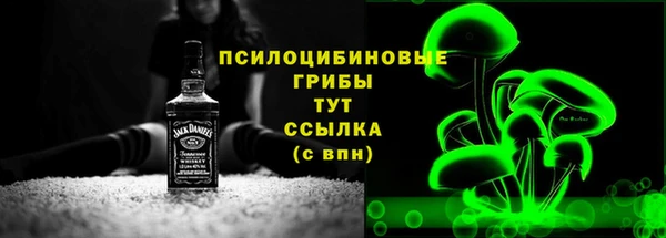 спайс Пересвет