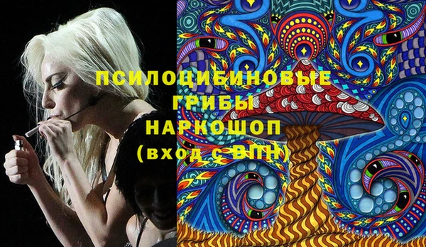 спайс Пересвет